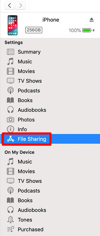 File sharing - Chromecast AVPlayerHD