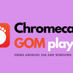 Chromecast GOM Player